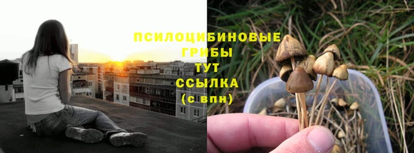 хмурый Ельня