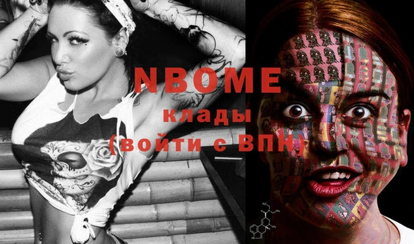 хмурый Ельня