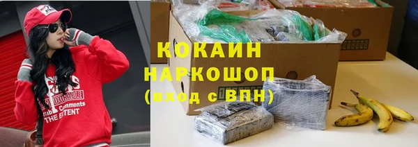 ГАЛЛЮЦИНОГЕННЫЕ ГРИБЫ Покров