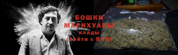 хмурый Ельня
