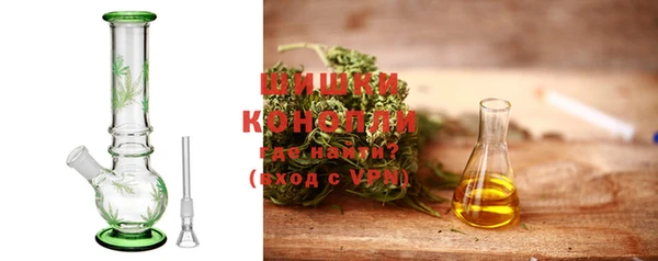 хмурый Пересвет