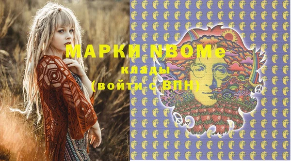 хмурый Пересвет