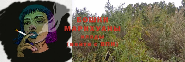 крисы Гусев